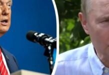 Трамп і путін зустрінуться: що обговорюватимуть і чого чекати Україні