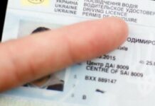 Українці, які постраждали від війни, зможуть безоплатно відновити водійське посвідчення