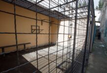 В’язниця замість палацу: в Перу експрезидента кинули до звичайних злочинців