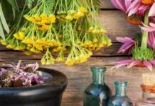 Зробіть себе невразливими: магічні трави для вашої оселі