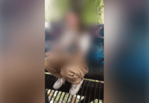 Поставили на коліна, били та плювали в обличчя: у Кривому Розі підлітки знущалися з однолітки