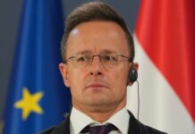 Очільник МЗС Угорщини відреагував на слова Зеленського про дружбу