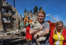 У Києві число загиблих від удару РФ сягнуло 22 – КМВА