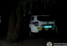 У Нікополі поліцейські затримали зловмисника за розбійний напад на перехожого