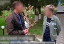 Директор інтернату з ТОТ Запорізької області постане перед судом за торгівлю людьми та колабораційну діяльність