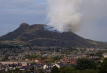 “Кліматичний коктейль”: учені пояснили, чому пожежі в Європі стають неконтрольованими