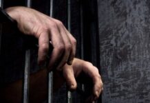 Поліція розшукала водія, який збив ветерана з протезом на Криворіжжі та покинув його помирати