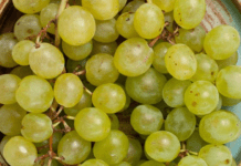 Не просто смачний, а й мегакорисний: 4 причини їсти виноград частіше