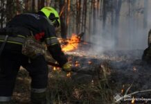 Дніпровський район: надзвичайники ліквідували лісову пожежу
