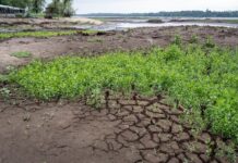 Річки України стрімко міліють: що показав серпень і де показники критичні