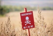 Смертельна пастка для дітей: в Україні з’явилися небезпечні боєприпаси, схожі на іграшки