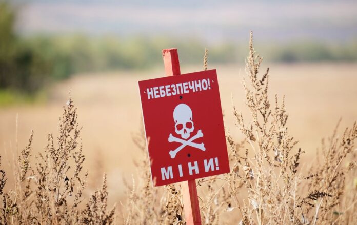 _mini_tablichka_pole_rozminuvannya__gettyimages_2173913696__1__7407f499a79e657a18f0b8640b09dd04_1300x820