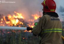За тиждень у Дніпропетровській області ліквідували понад 600 пожеж