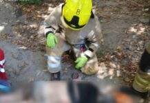 У Запоріжжі надзвичайники врятували літню жінку під час пожежі