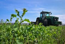 Українські фермери продавали врожай з радіоактивних земель, – ОГП