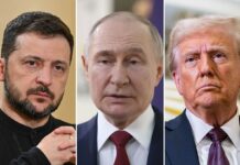 Зеленський може долучитися до саміту Трампа і Путіна, – CBS News