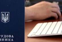 Чи офіційно ви працюєте: перевірте свій статус у Реєстрі застрахованих осіб