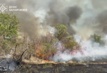 Надзвичайники Запоріжжя ліквідували масштабну пожежу на острові Хортиця