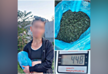 Правоохоронці Запоріжжя вилучили пів кілограма марихуани у місцевої жительки