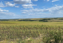 На Дніпропетровщині громадам повернули землі вартістю понад 27 млн грн