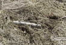 Виявили біля приватного будинку: у Криворізькому районі вибухотехніки знешкодили касетний боєприпас