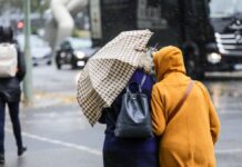 Жовтень почнеться з дощів: прогноз погоди в Україні на наступний тиждень