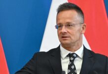 Сійярто заявив, що Угорщина виступатиме проти членства України в ЄС незалежно від позиції Росії