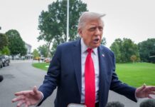 Трамп: Зеленському доведеться піти на угоду для завершення конфлікту