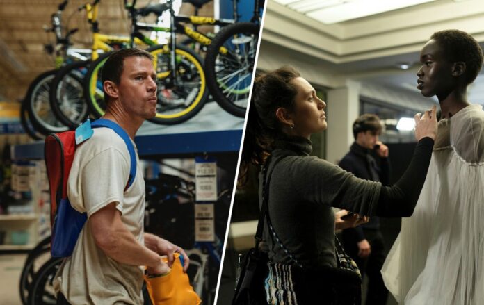 _3123340___53fdf72c2407a2a734db60b4b756f959_1300x820