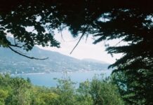 У Криму поскаржились на атаку дронів по санаторію «Форос»: Аксьонов каже про постраждалих і загиблих