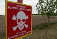 Одна людина загинула, двоє поранені через удар РФ по місії з розмінування на Чернігівщині – МВА