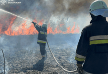 На Запоріжжі за добу ліквідували 4 пожежі в екосистемах