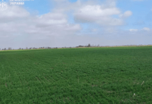 Громаді Запорізького району повернули землі вартістю понад 10 млн грн