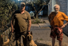 На Криворіжжі службовий собака врятував зниклого чоловіка