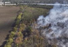 У Запорізькому районі ліквідовано масштабну пожежу сухостою