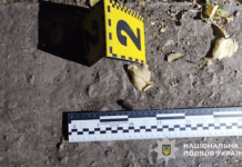 У Марганці затримали чоловіка, причетного до стрілянини