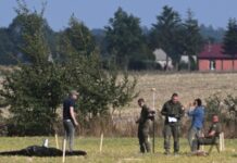 Встановлені 16 місць падіння російських дронів у Польщі