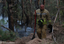 Площа займання 9,7 га: у Дніпрі надзвичайники ліквідували лісову пожежу