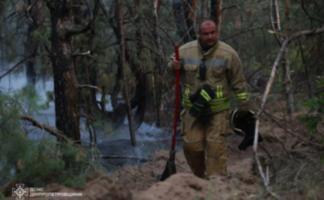 Площа займання 9,7 га: у Дніпрі надзвичайники ліквідували лісову пожежу