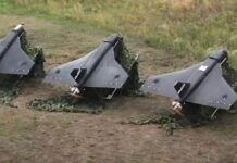 Несуть серйозну шкоду: у Повітряних силах розповіли про небезпеку дронів типу “Гербера”