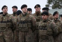 Українські військові навчатимуть Данію боротися з дронами