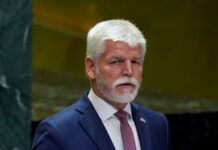 Президент Чехії закликав НАТО реагувати військовим шляхом на порушення з боку Росії