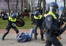 У Нідерландах протести проти міграції переросли в жорсткі сутички з поліцією