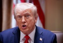 Трамп вимагає від Путіна зупинити війну: витративши мільйони, майже нічого не захопив