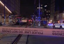 Ілон Маск виділить мільйон доларів на мурали з українкою Іриною Заруцькою