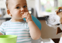 Японське дослідження: як домашні улюбленці впливають на дитячий імунітет