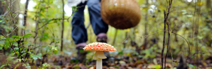 izobrazenie2025-09-22163048773_68d14f90a750a