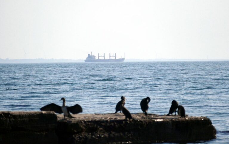 Україна запустила найбільший портовий інвестпроєкт: що відомо та які переспективи