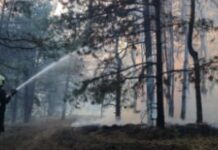 На Запоріжжі рятувальники ліквідували 11 пожеж в екосистемах