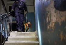 Обстріли на Полтавщині: ДСНС показала фото наслідків